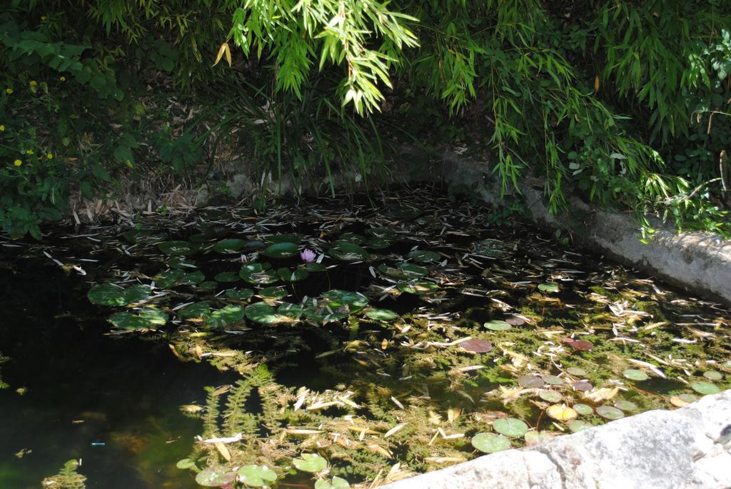 Les Foucauds Hotel Saint-Quentin-de-Caplong Luaran gambar