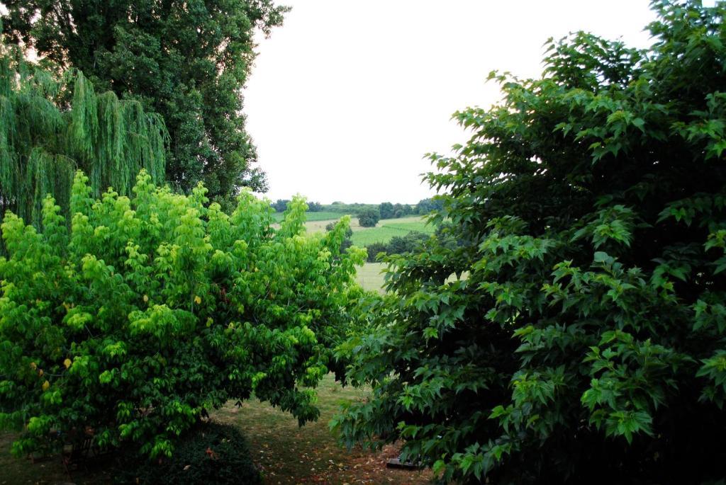 Les Foucauds Hotel Saint-Quentin-de-Caplong Bilik gambar